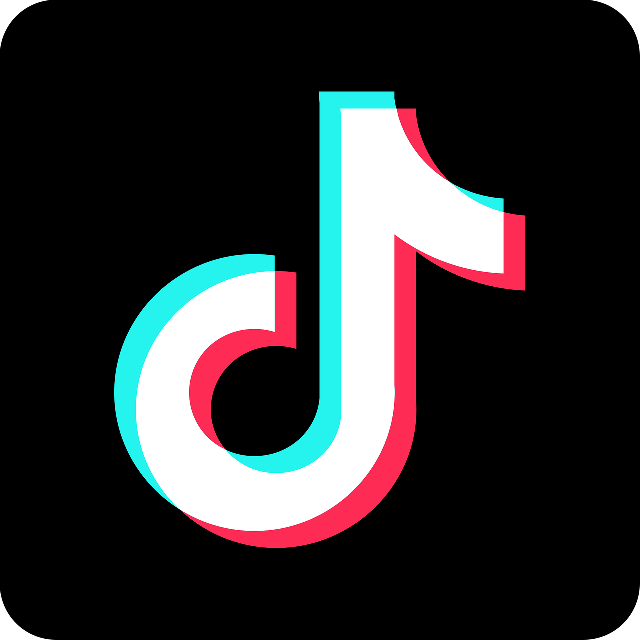 TikTok Account 1